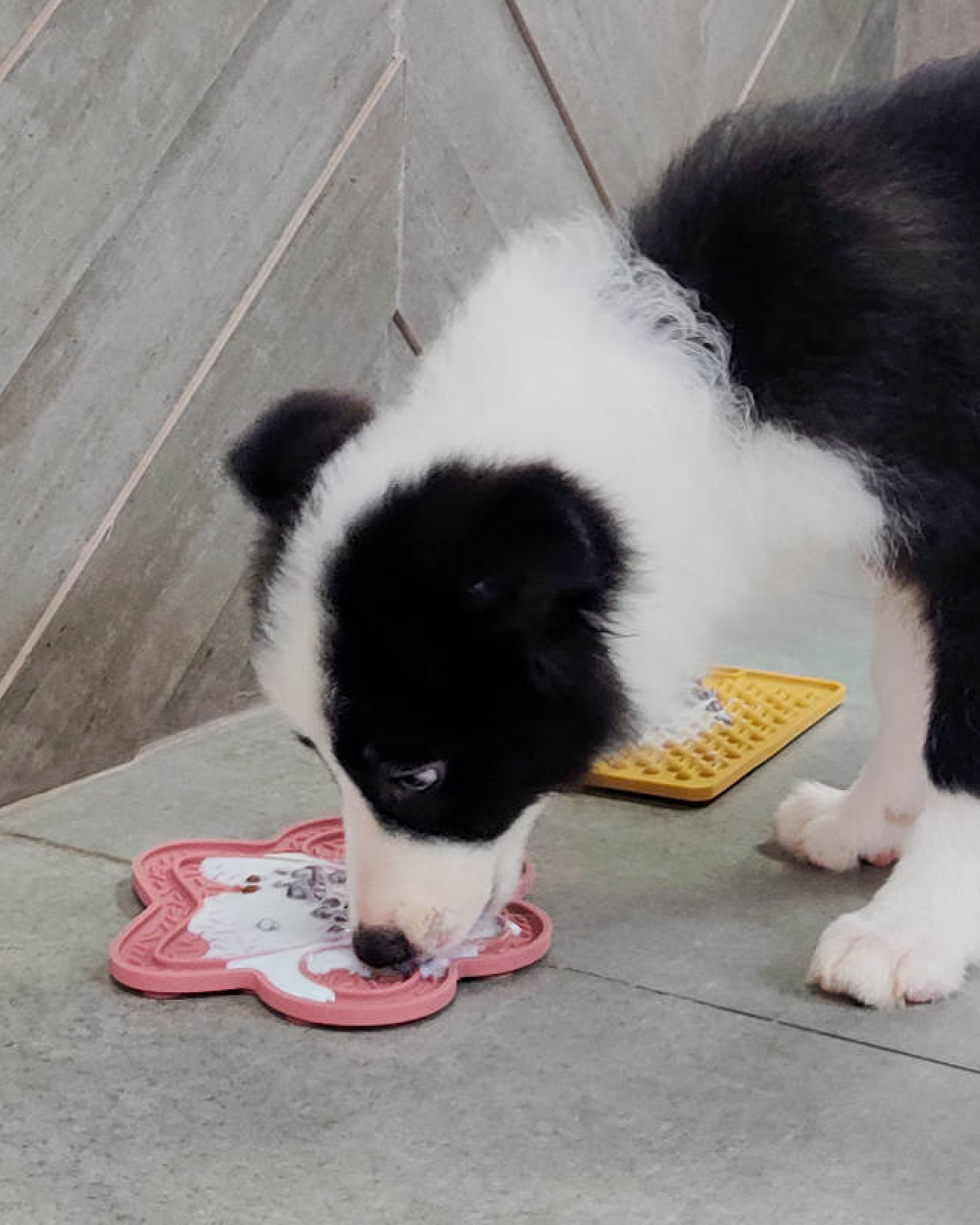 
                  
                    Lick Mat (Pink)
                  
                